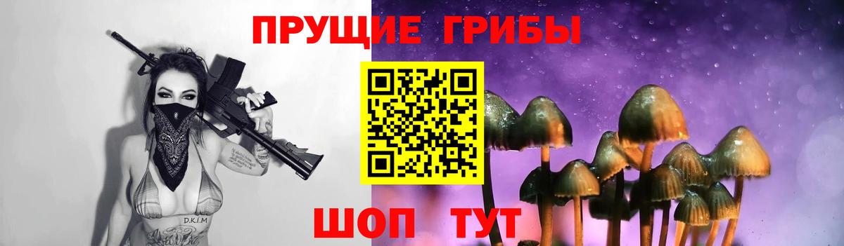 Галлюциногенные грибы MAGIC MUSHROOMS  Вход с VPN  Мичуринск 